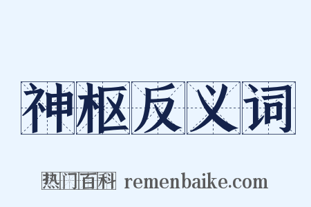 神枢反义词是什么意思的图片